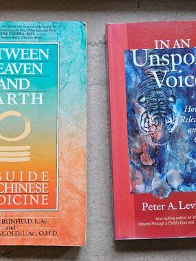 Book set of 2 - In an Unspoken Voice + Between Heaven and Earth
